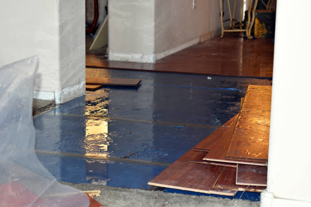 Professional Structural Drying technician working in Derby, CT